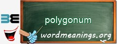 WordMeaning blackboard for polygonum
